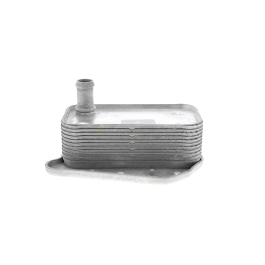 VEMO Oil Cooler, engine oil V30-60-1323