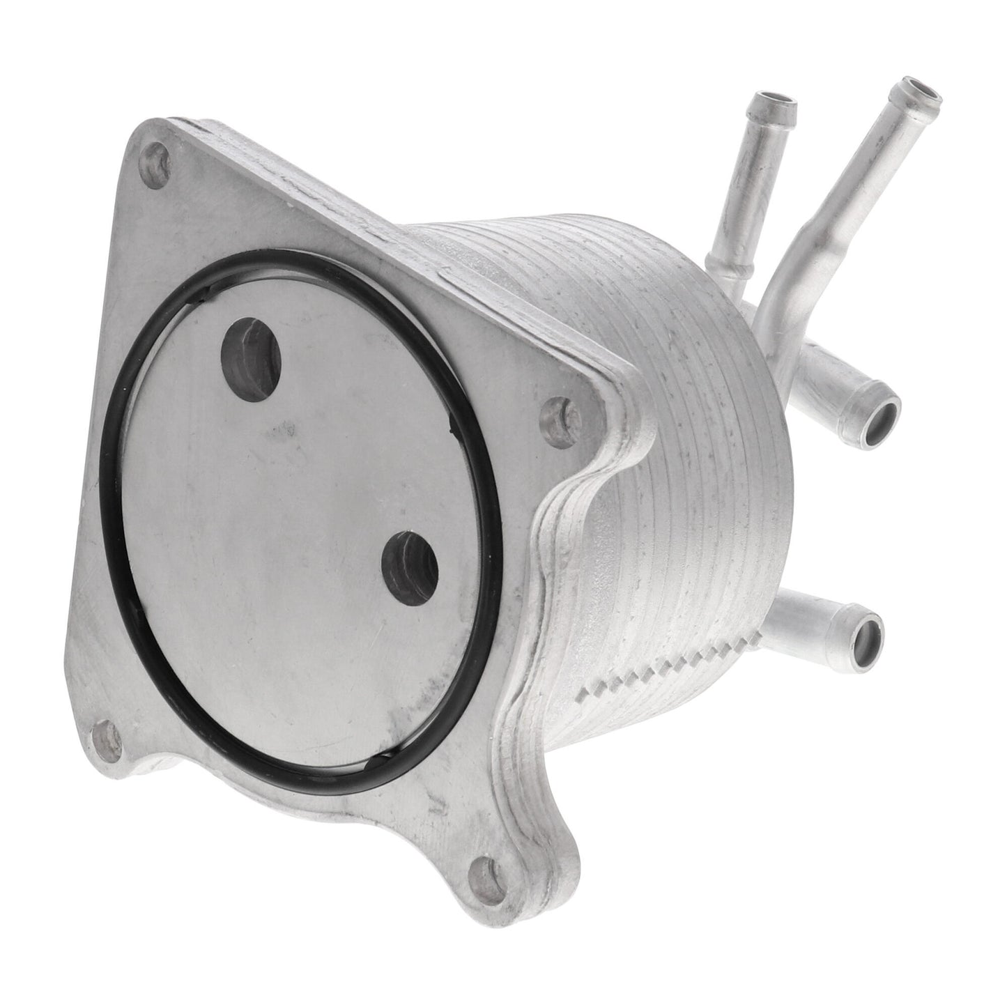 VEMO Oil Cooler, automatic transmission V33-60-0012