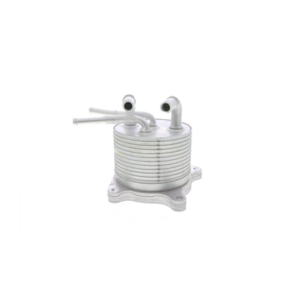 VEMO Oil Cooler, automatic transmission V33-60-0012