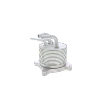 VEMO Oil Cooler, automatic transmission V33-60-0012