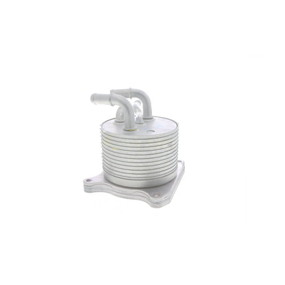 VEMO Oil Cooler, automatic transmission V33-60-0012