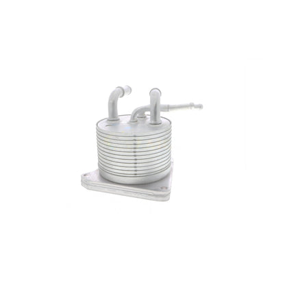 VEMO Oil Cooler, automatic transmission V33-60-0012