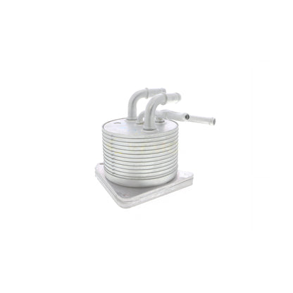 VEMO Oil Cooler, automatic transmission V33-60-0012