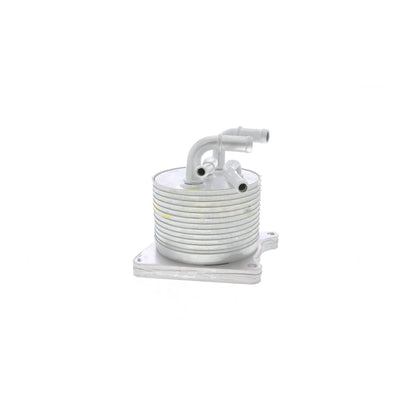 VEMO Oil Cooler, automatic transmission V33-60-0012