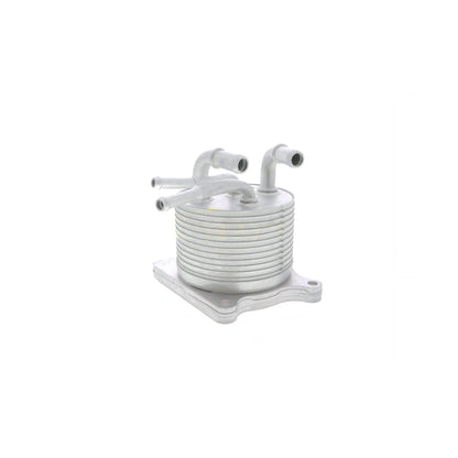 VEMO Oil Cooler, automatic transmission V33-60-0012