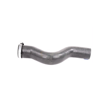 VAICO Charge Air Hose V38-0488