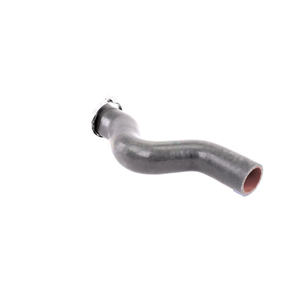 VAICO Charge Air Hose V38-0488