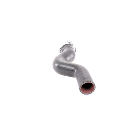 VAICO Charge Air Hose V38-0488