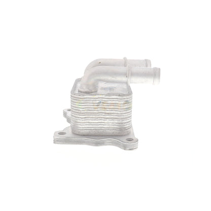 VEMO Oil Cooler, engine oil V38-60-0004