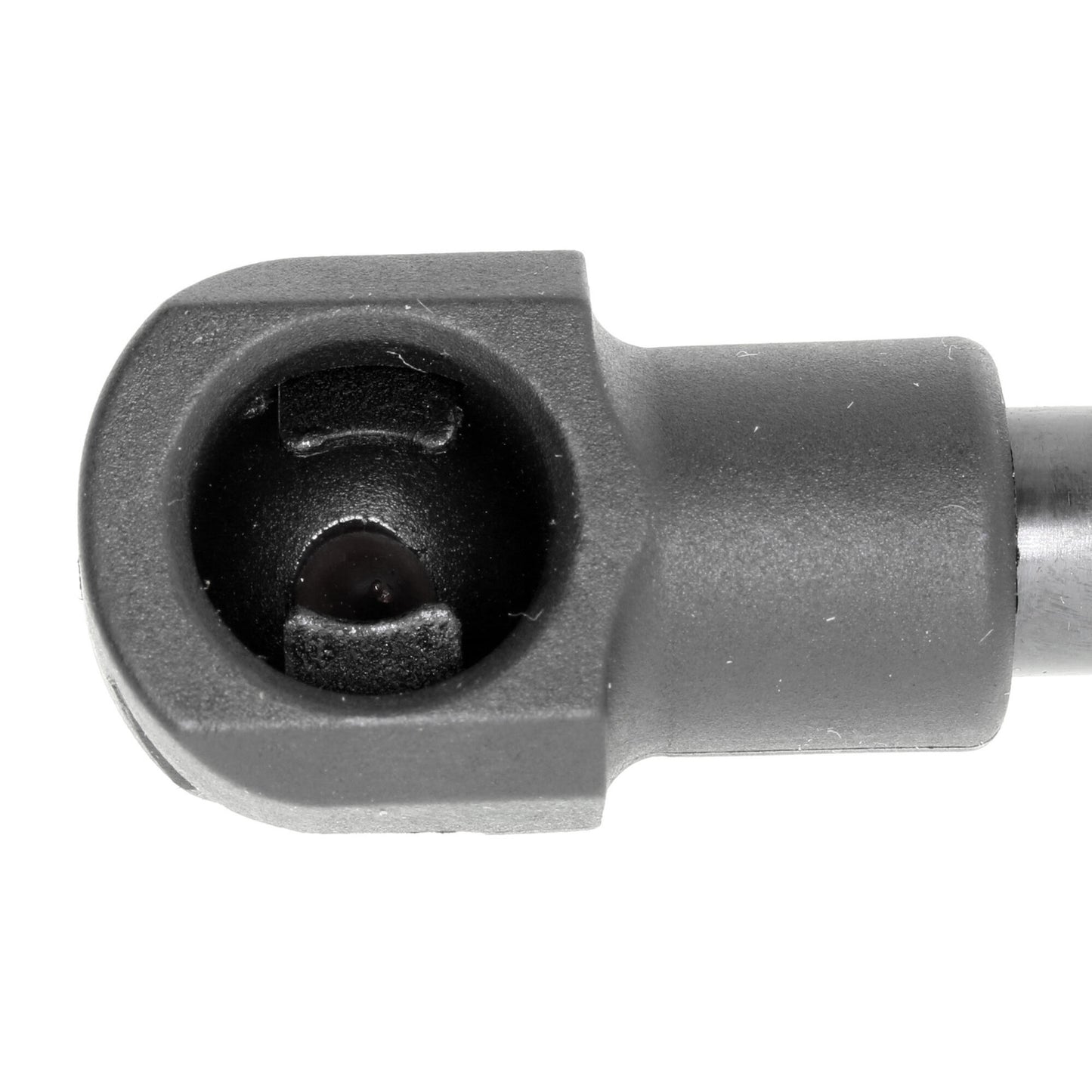 VAICO Gas Spring, boot/cargo area V40-0590