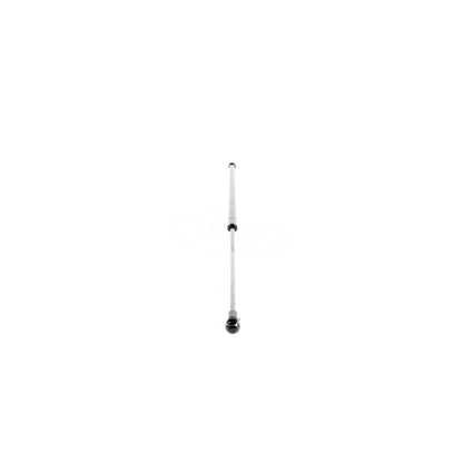 VAICO Gas Spring, boot/cargo area V40-0813