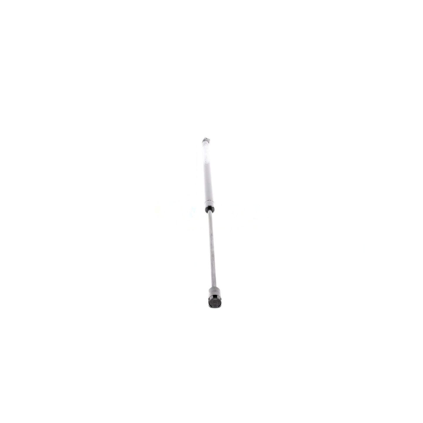 VAICO Gas Spring, boot/cargo area V40-1099
