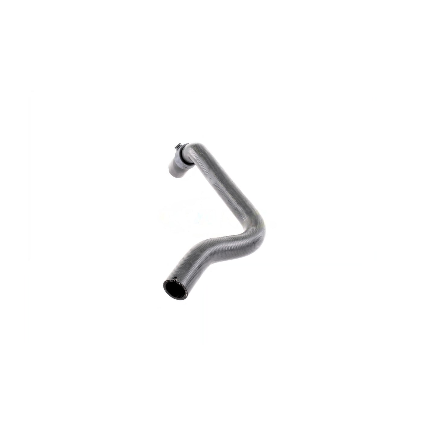 VAICO Radiator Hose V40-1169