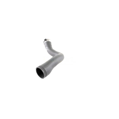 VAICO Charge Air Hose V40-1364