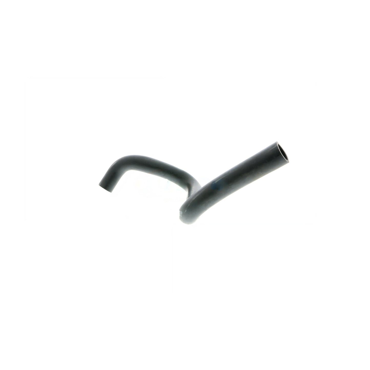 VAICO Hose, crankcase ventilation V40-1369