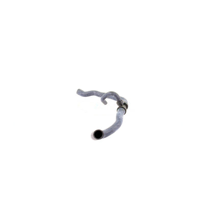 VAICO Radiator Hose V40-1769