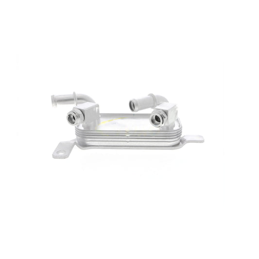 VEMO Oil Cooler, automatic transmission V40-60-0018
