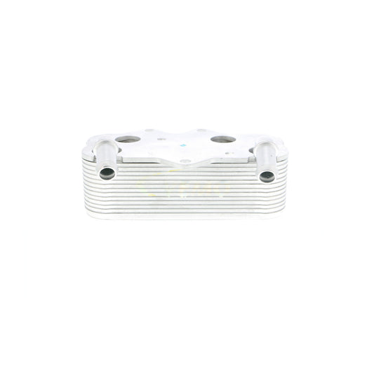 VEMO Oil Cooler, engine oil V40-60-2096