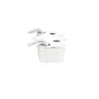 VEMO Oil Cooler, engine oil V40-60-2096