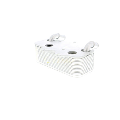 VEMO Oil Cooler, engine oil V40-60-2096