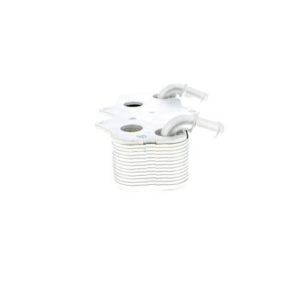 VEMO Oil Cooler, engine oil V40-60-2096