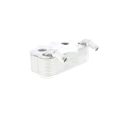 VEMO Oil Cooler, engine oil V40-60-2096