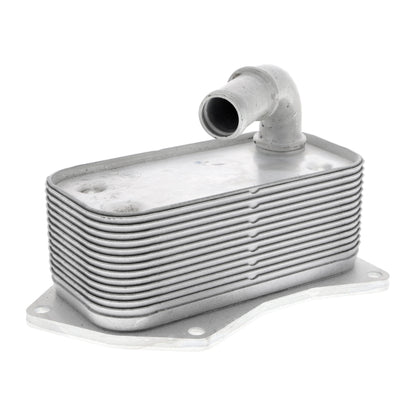 VEMO Oil Cooler, engine oil V40-60-2099