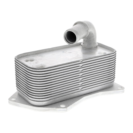 VEMO Oil Cooler, engine oil V40-60-2099