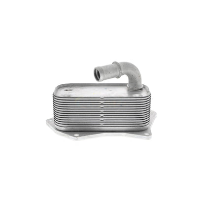 VEMO Oil Cooler, engine oil V40-60-2099