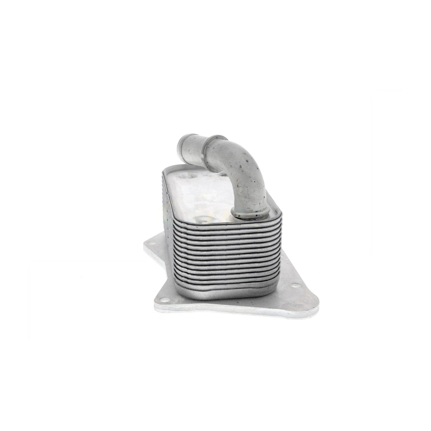 VEMO Oil Cooler, engine oil V40-60-2099