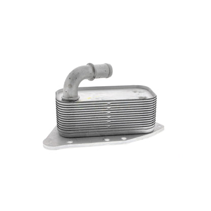 VEMO Oil Cooler, engine oil V40-60-2099