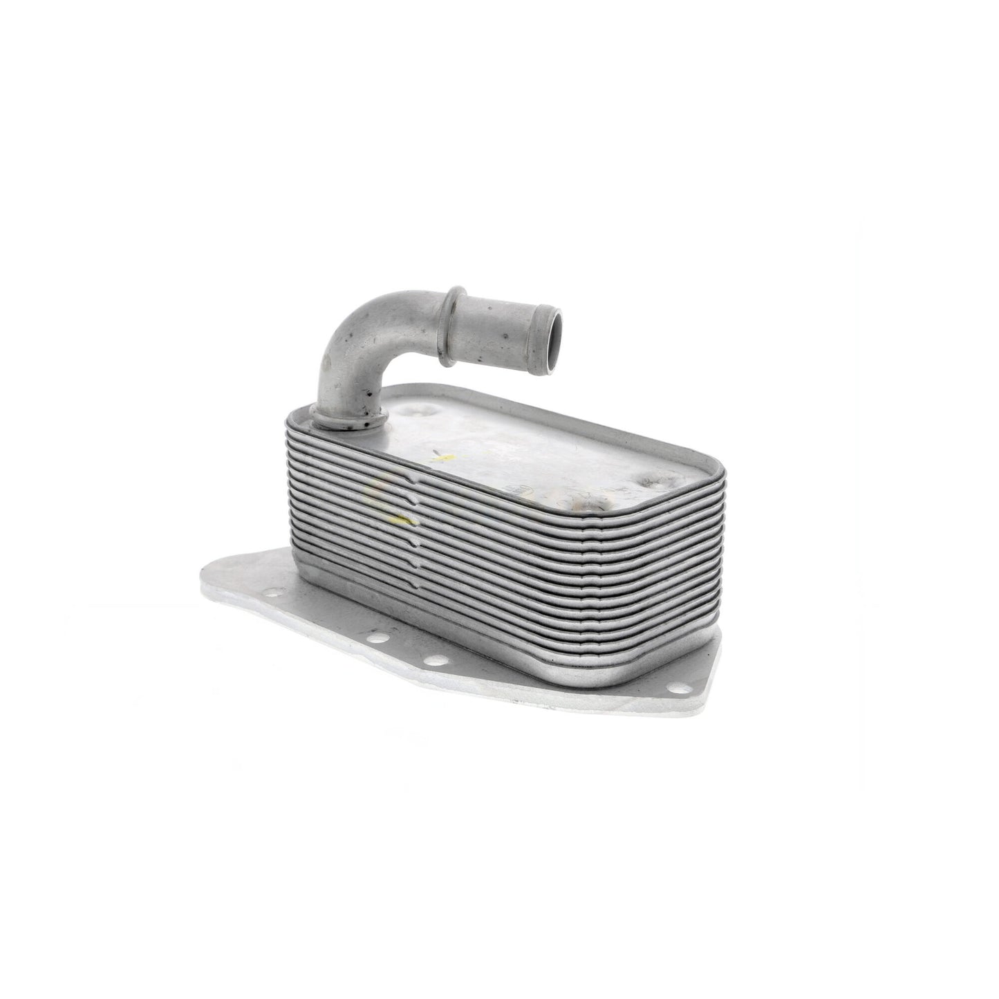 VEMO Oil Cooler, engine oil V40-60-2099