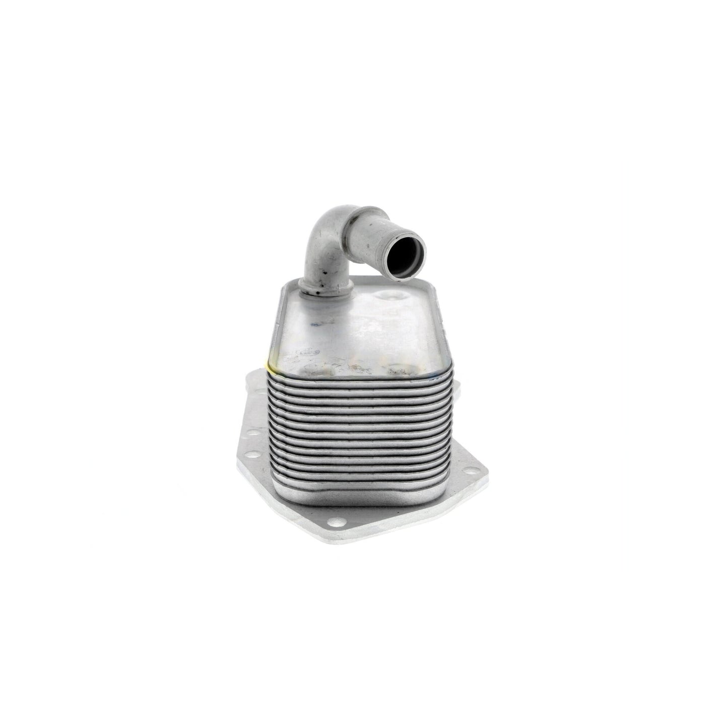 VEMO Oil Cooler, engine oil V40-60-2099