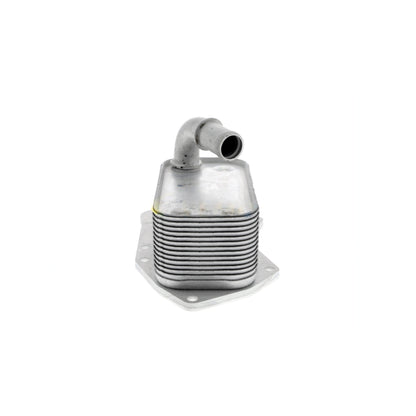 VEMO Oil Cooler, engine oil V40-60-2099