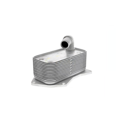 VEMO Oil Cooler, engine oil V40-60-2099