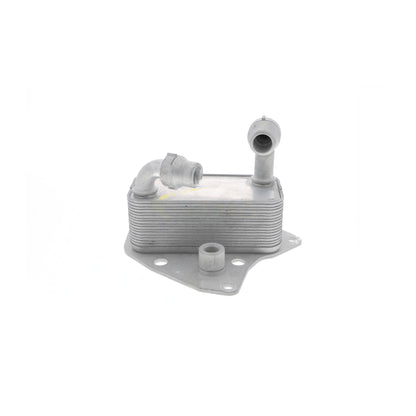 VEMO Oil Cooler, engine oil V40-60-2100