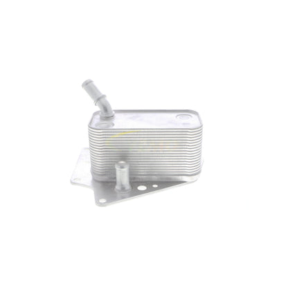 VEMO Oil Cooler, engine oil V40-60-2101