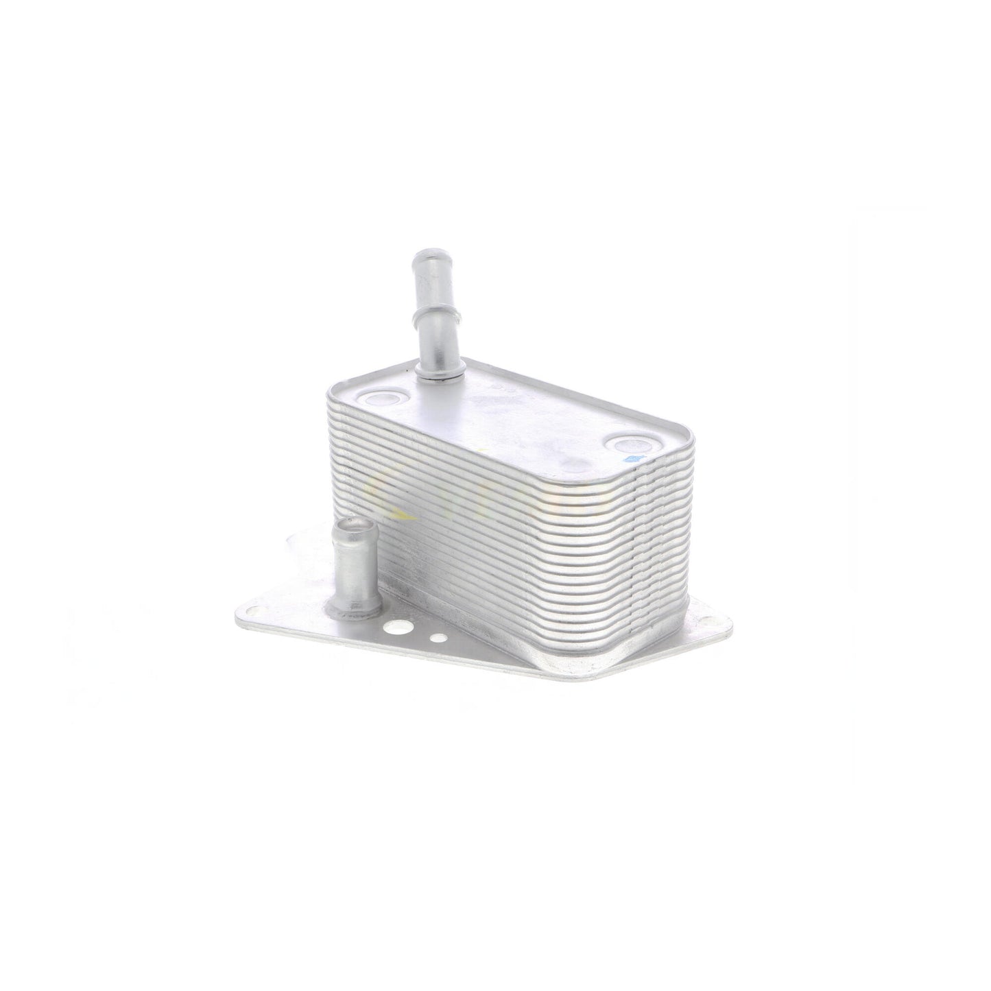 VEMO Oil Cooler, engine oil V40-60-2101
