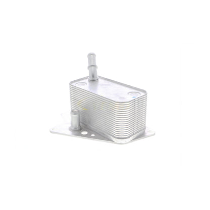 VEMO Oil Cooler, engine oil V40-60-2101