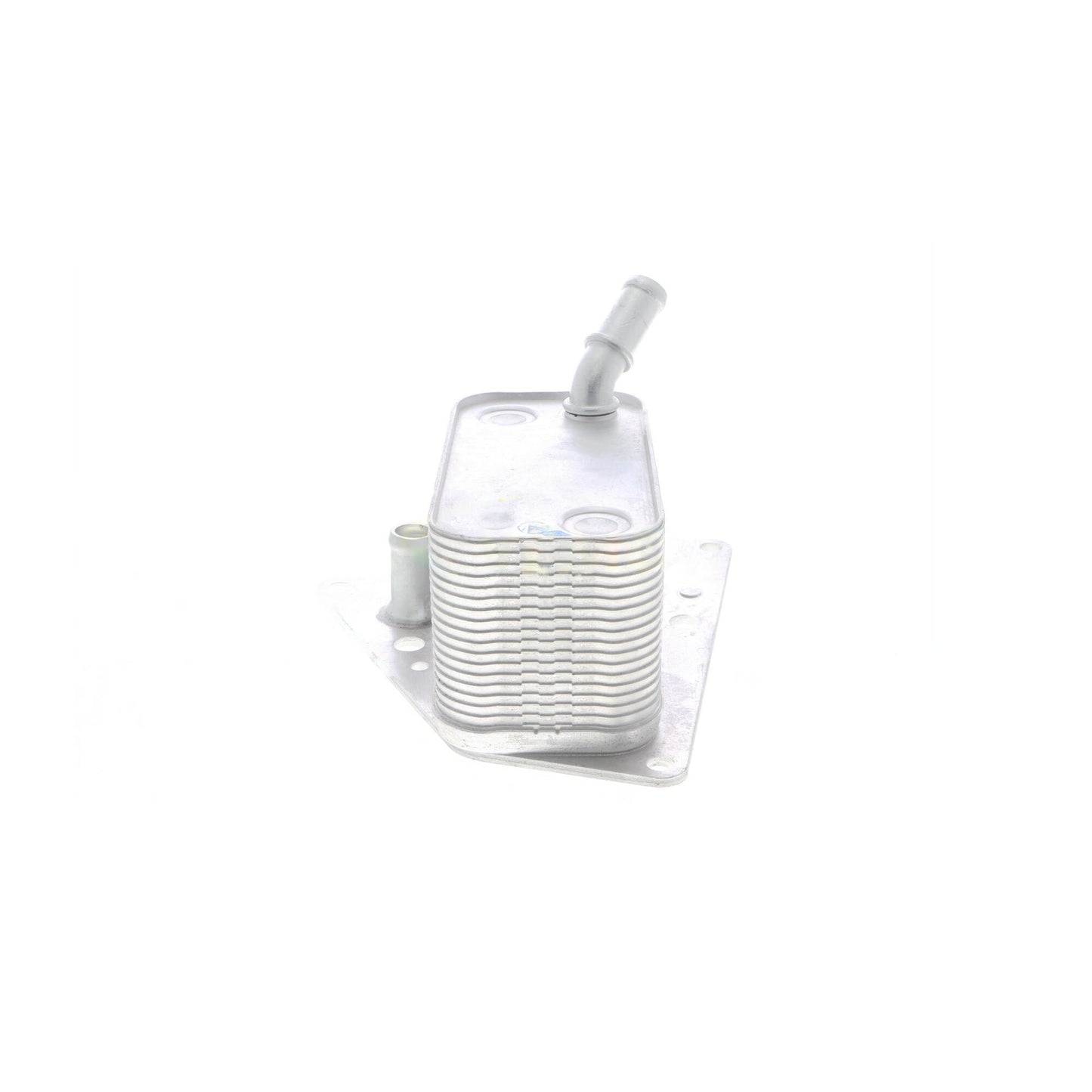 VEMO Oil Cooler, engine oil V40-60-2101