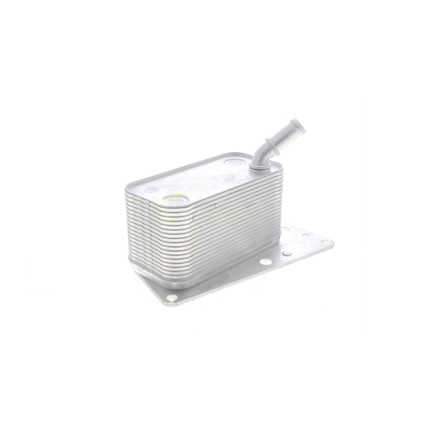 VEMO Oil Cooler, engine oil V40-60-2101