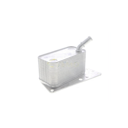 VEMO Oil Cooler, engine oil V40-60-2101