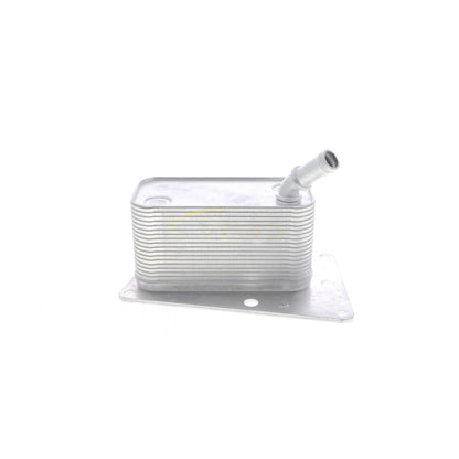 VEMO Oil Cooler, engine oil V40-60-2101