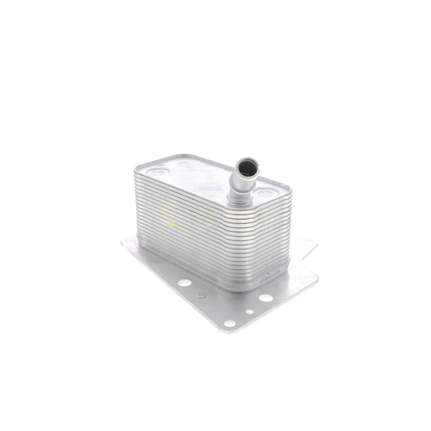 VEMO Oil Cooler, engine oil V40-60-2101