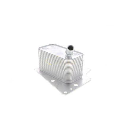 VEMO Oil Cooler, engine oil V40-60-2101