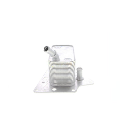 VEMO Oil Cooler, engine oil V40-60-2101
