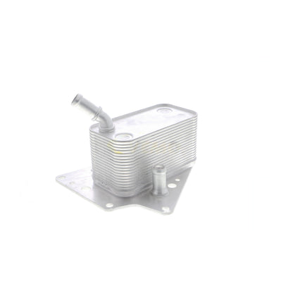 VEMO Oil Cooler, engine oil V40-60-2101