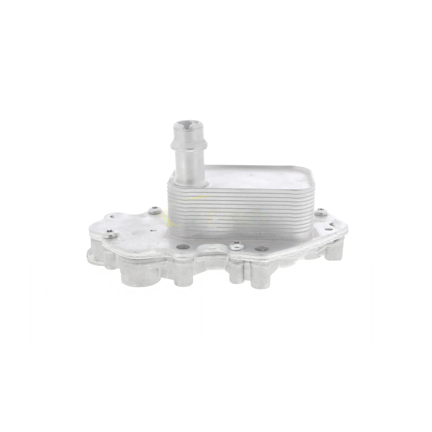 VEMO Oil Cooler, engine oil V40-60-2102