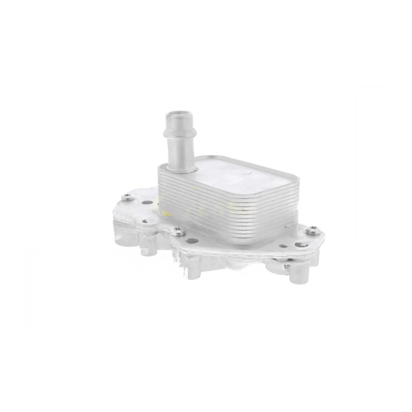 VEMO Oil Cooler, engine oil V40-60-2102