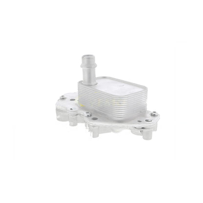 VEMO Oil Cooler, engine oil V40-60-2102